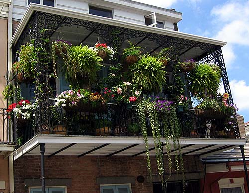 425 Burgundy Street, New Orleans, Louisiana